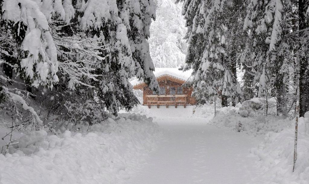 Ferienwohnung Steiner Wald im Pinzgau Exteriör bild