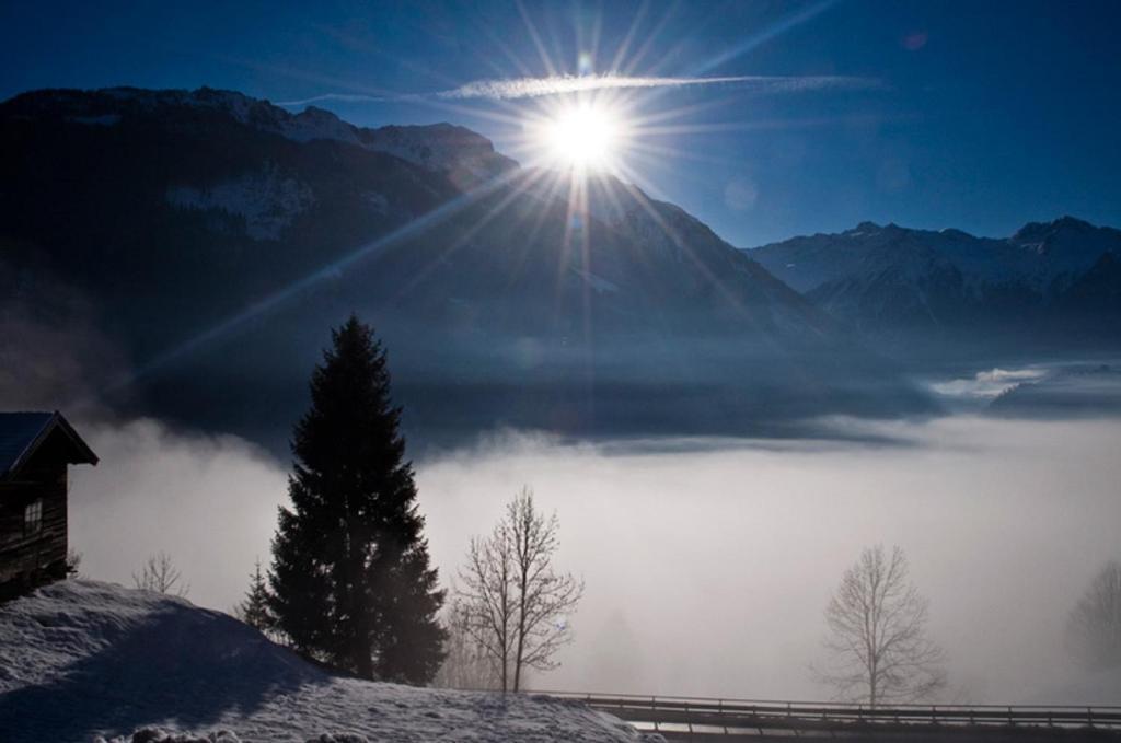 Ferienwohnung Steiner Wald im Pinzgau Exteriör bild